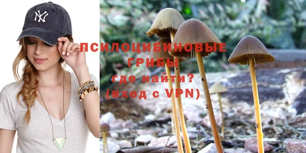кокс Абаза